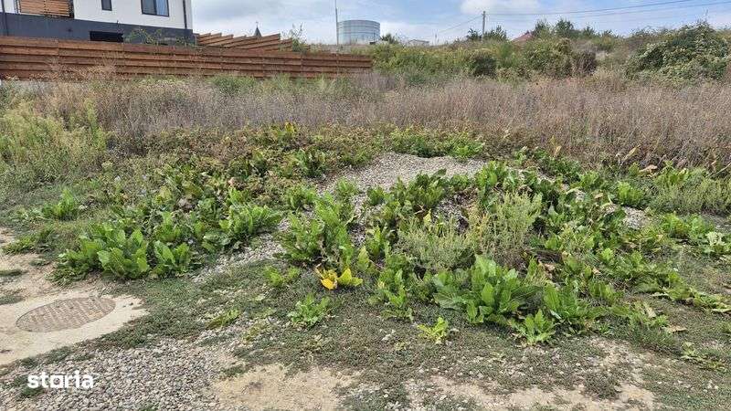 Teren Hlincea / 418 mp - Imagine principală: 4/4