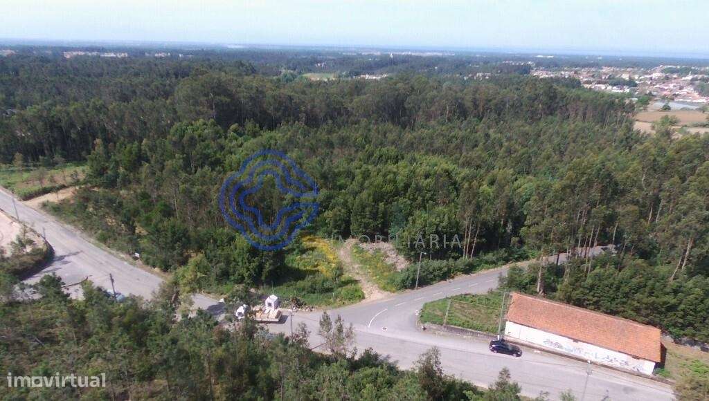 Terreno Industrial em São Vicente Pereira com 24 400metros - Grande imagem: 2/10