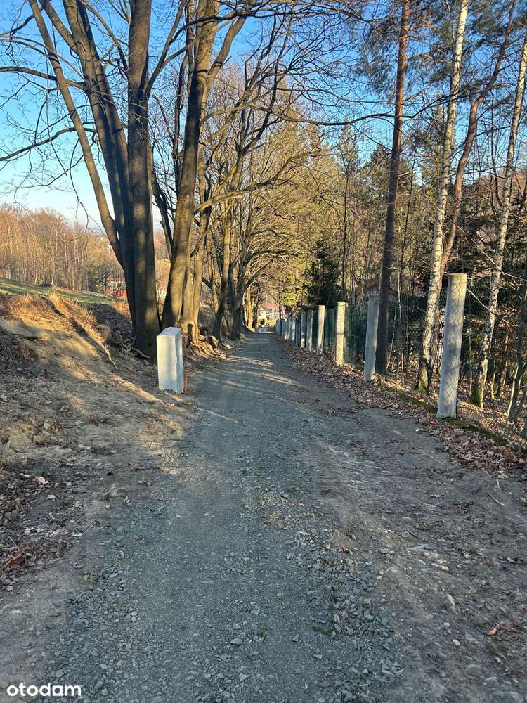 Działka budowlana 2 154m2 - Świeradów Zdrój-1