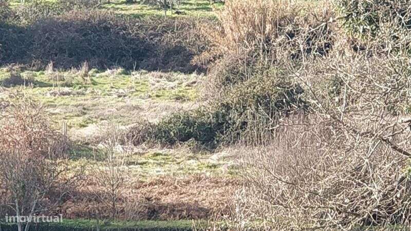 Terreno Rústico / Fundão, Capinha - Grande imagem: 3/3