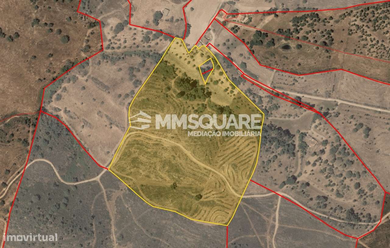 Quintinha T3 Venda em Santana da Serra,Ourique - Grande imagem: 5/19