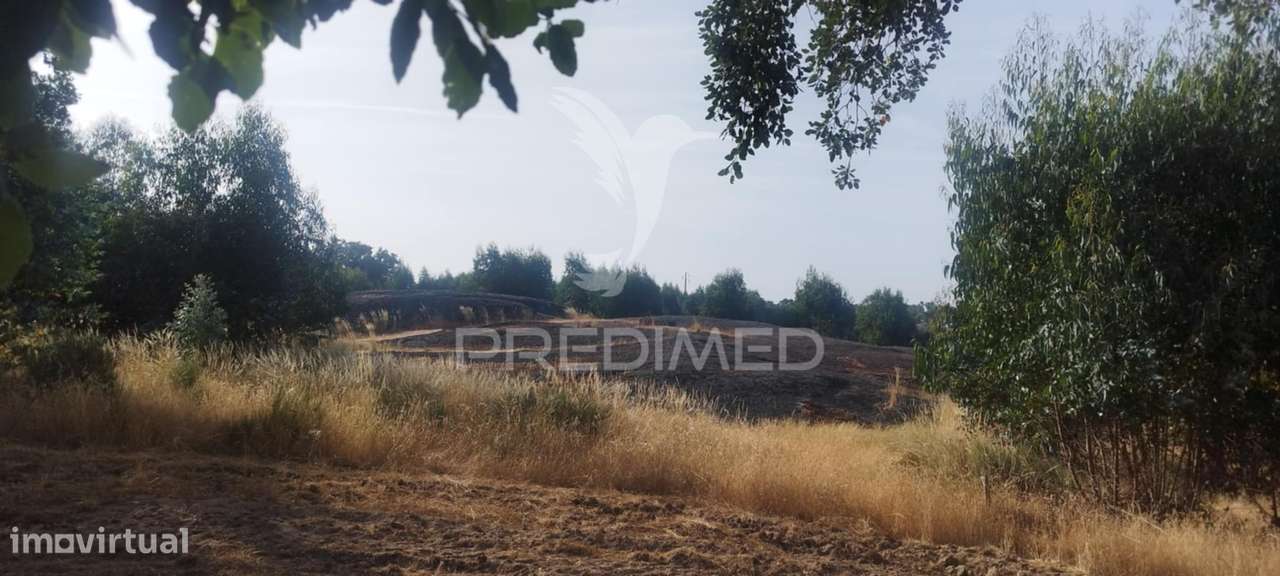 Terreno agricola /construção - Grande imagem: 2/5