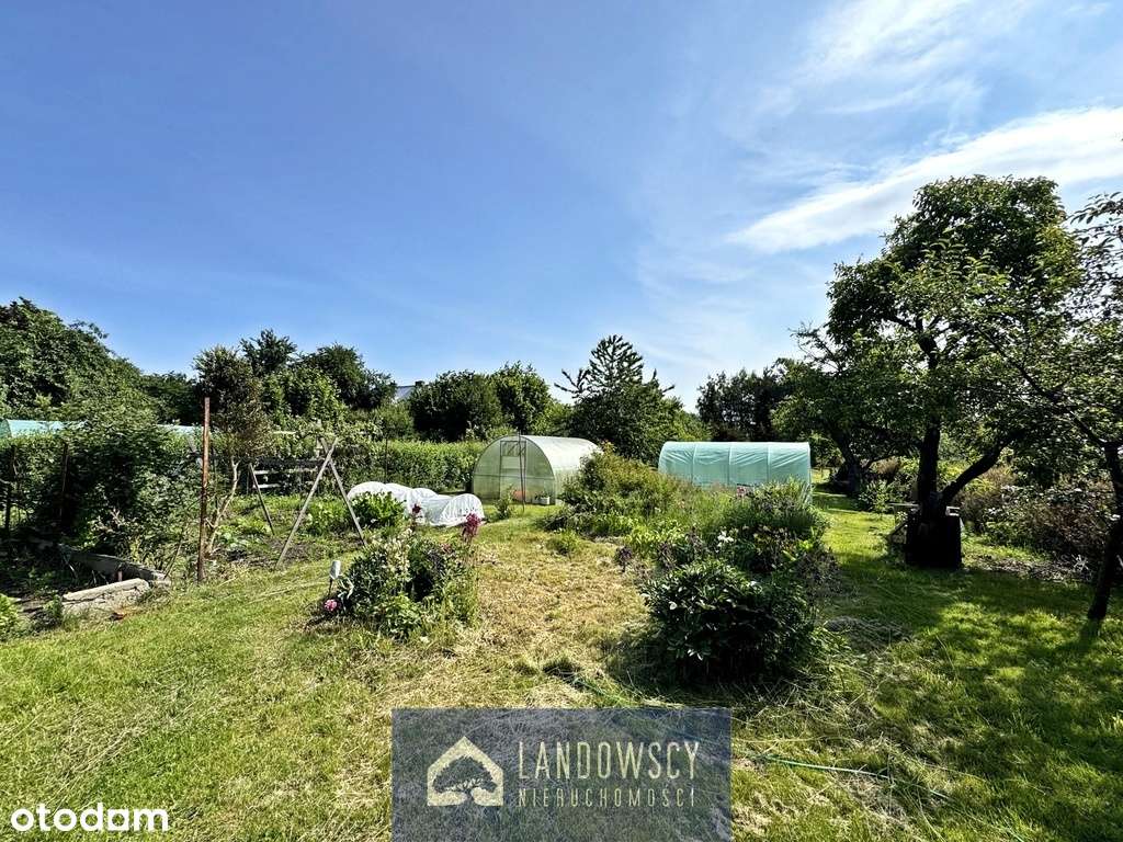 Duża działka inwestycyjna | 45 min od Gdańska-15