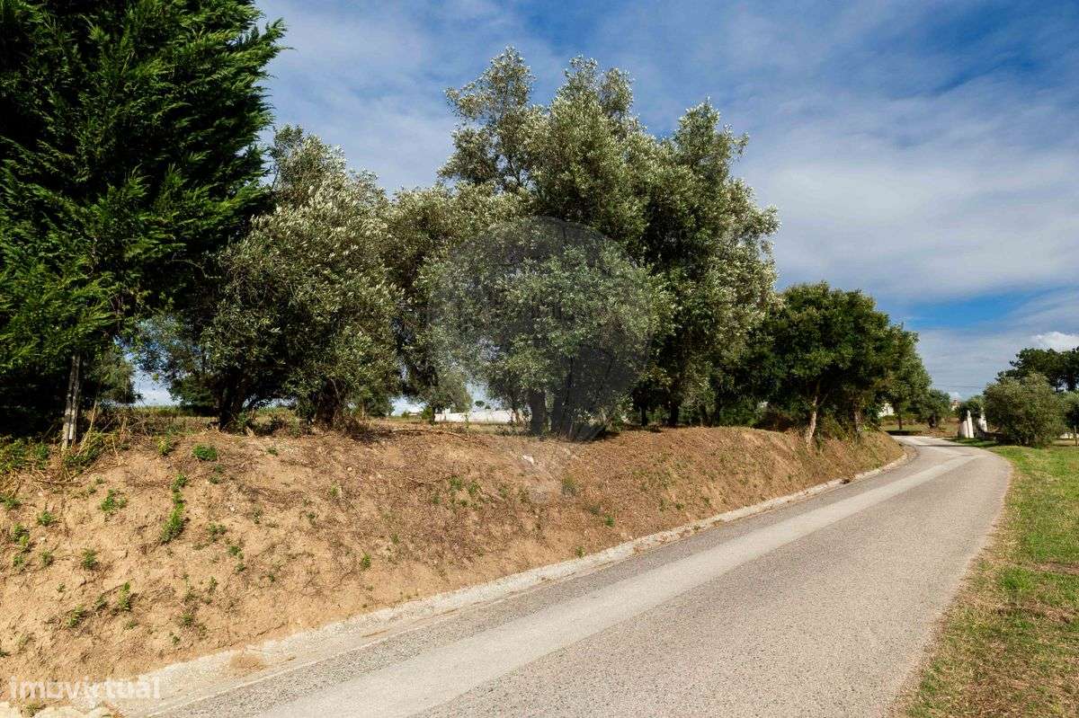 Terreno  para venda - Grande imagem: 5/26