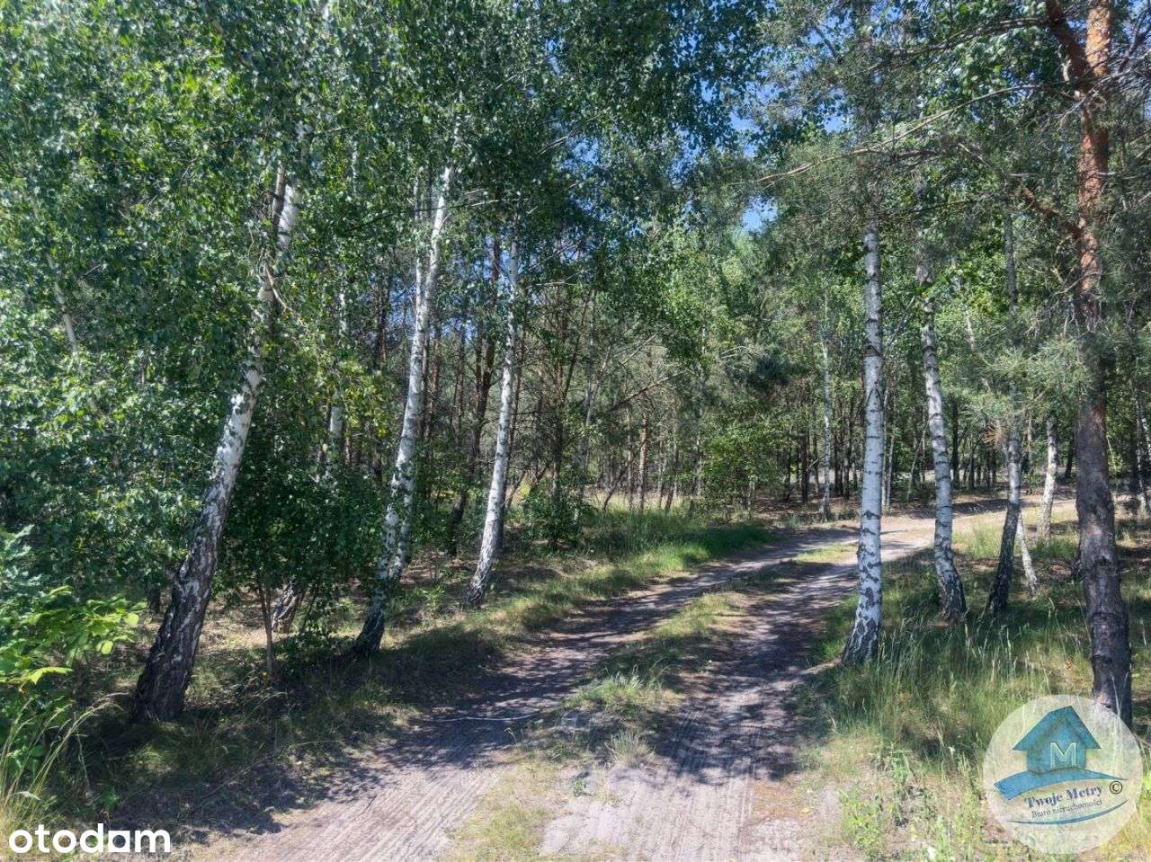 Spokój, komfort i świetna lokalizacja! - Pełny obrazek: 2/20