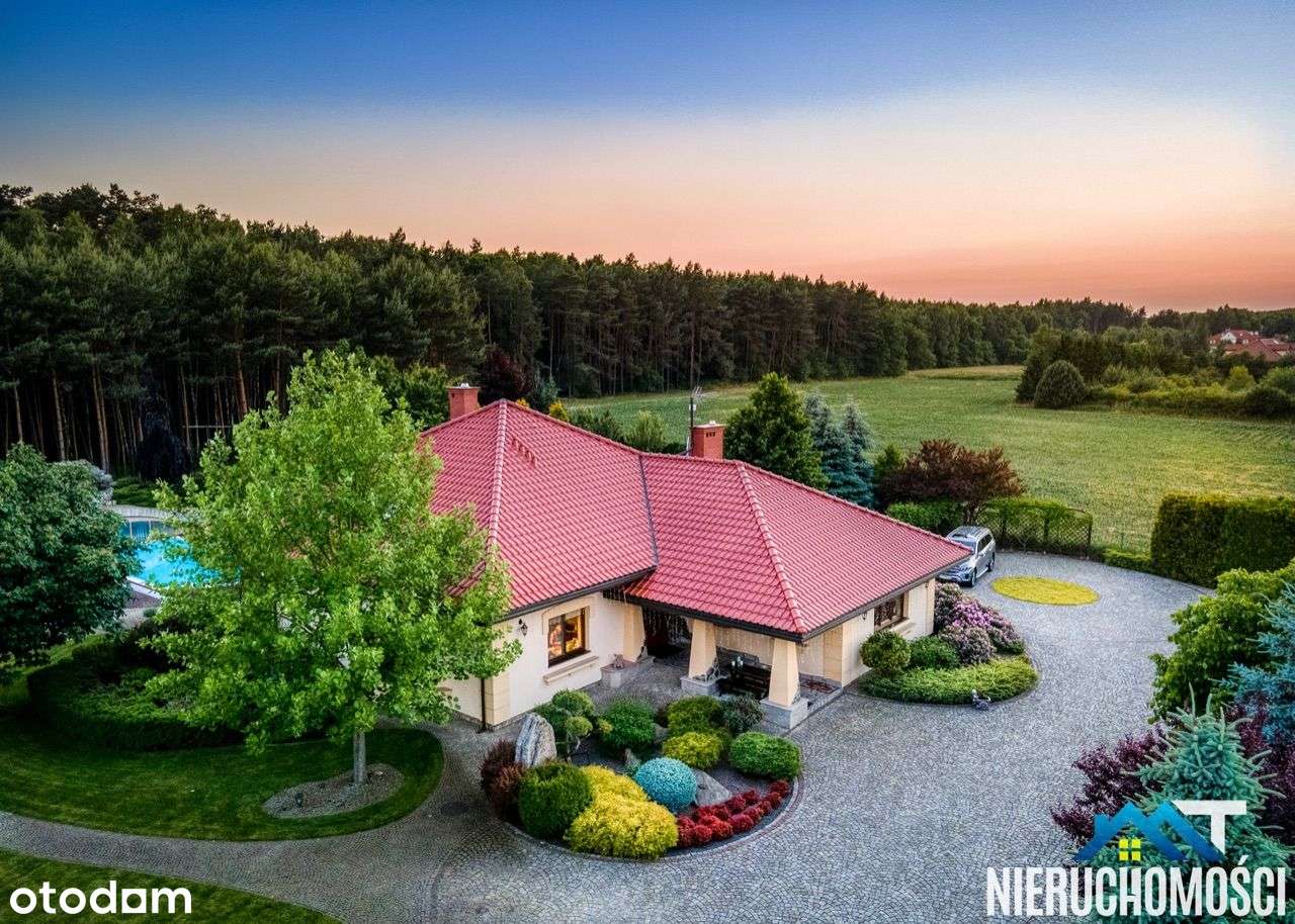 Posiadłość w lesie, ogród, basen, Czarne Błoto - Pełny obrazek: 3/20