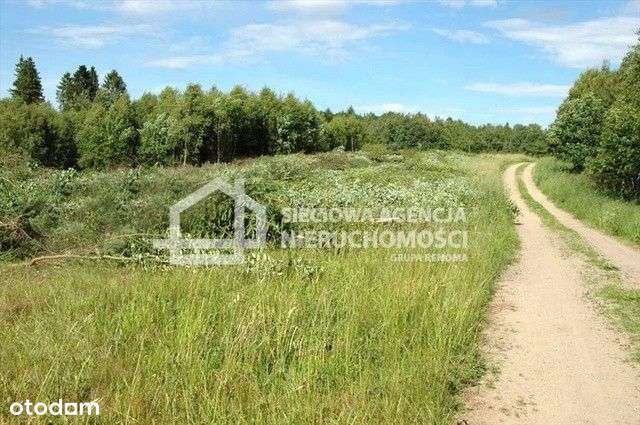 działka siedliskowa Bukowina - Pełny obrazek: 4/8