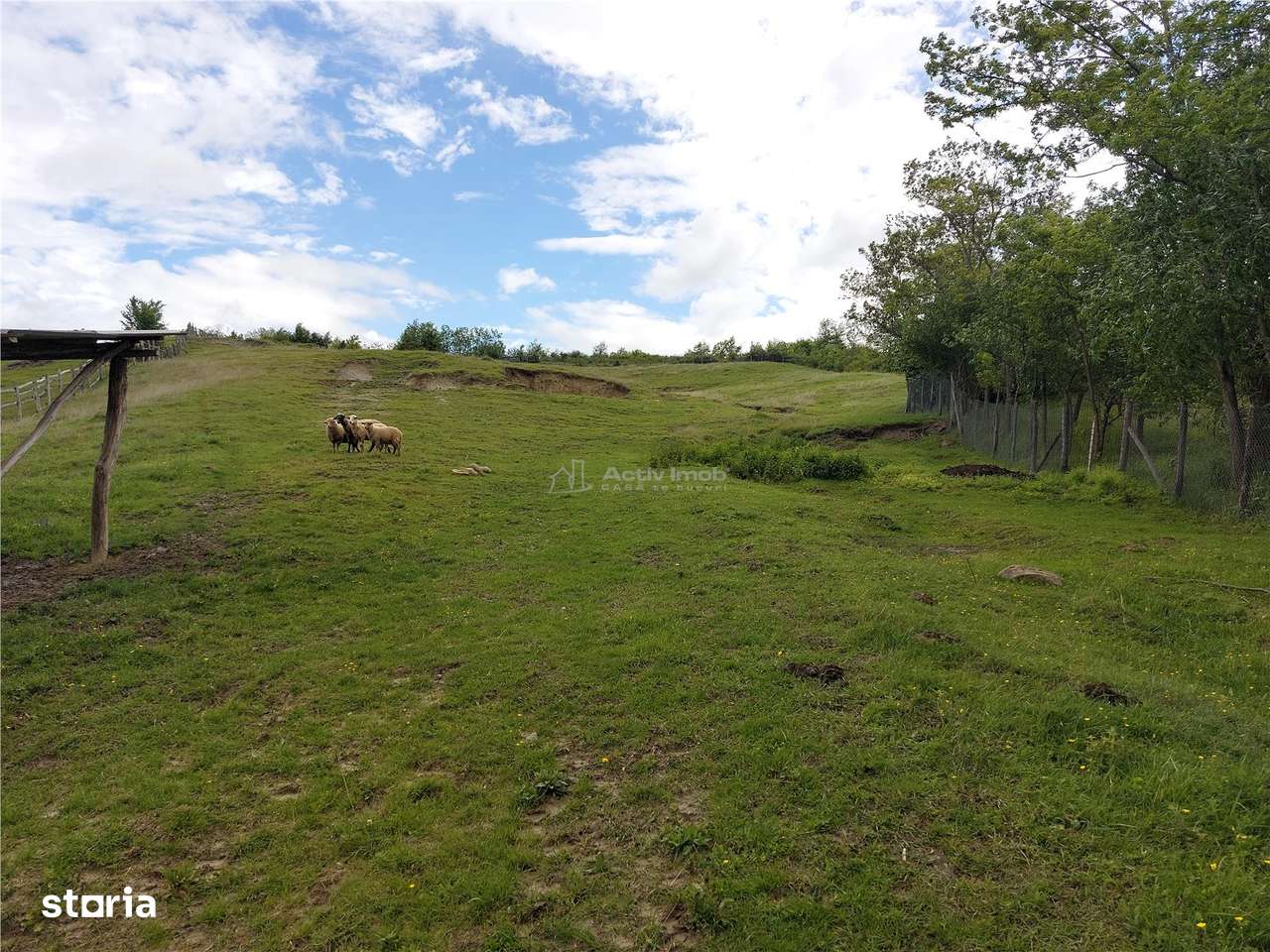 Teren extravilan 10000 mp, com Panatau - Imagine principală: 5/9