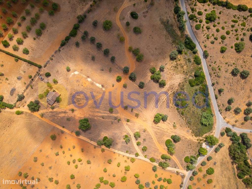 Quinta de 2,1 ha com Potencial para Turismo Rural- Guia Valverde-33