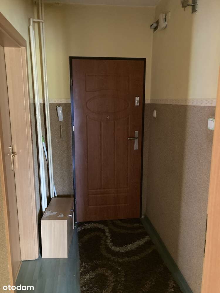 Bez prowizji, Mieszkanie, Dolnośląskie, 3-pok. 63 m², p. 5/10, loggia-4