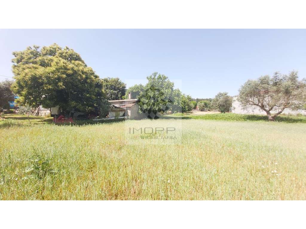 Fabulosa propriedade na zona centro do país com mais de 4.000m2 e m...-37