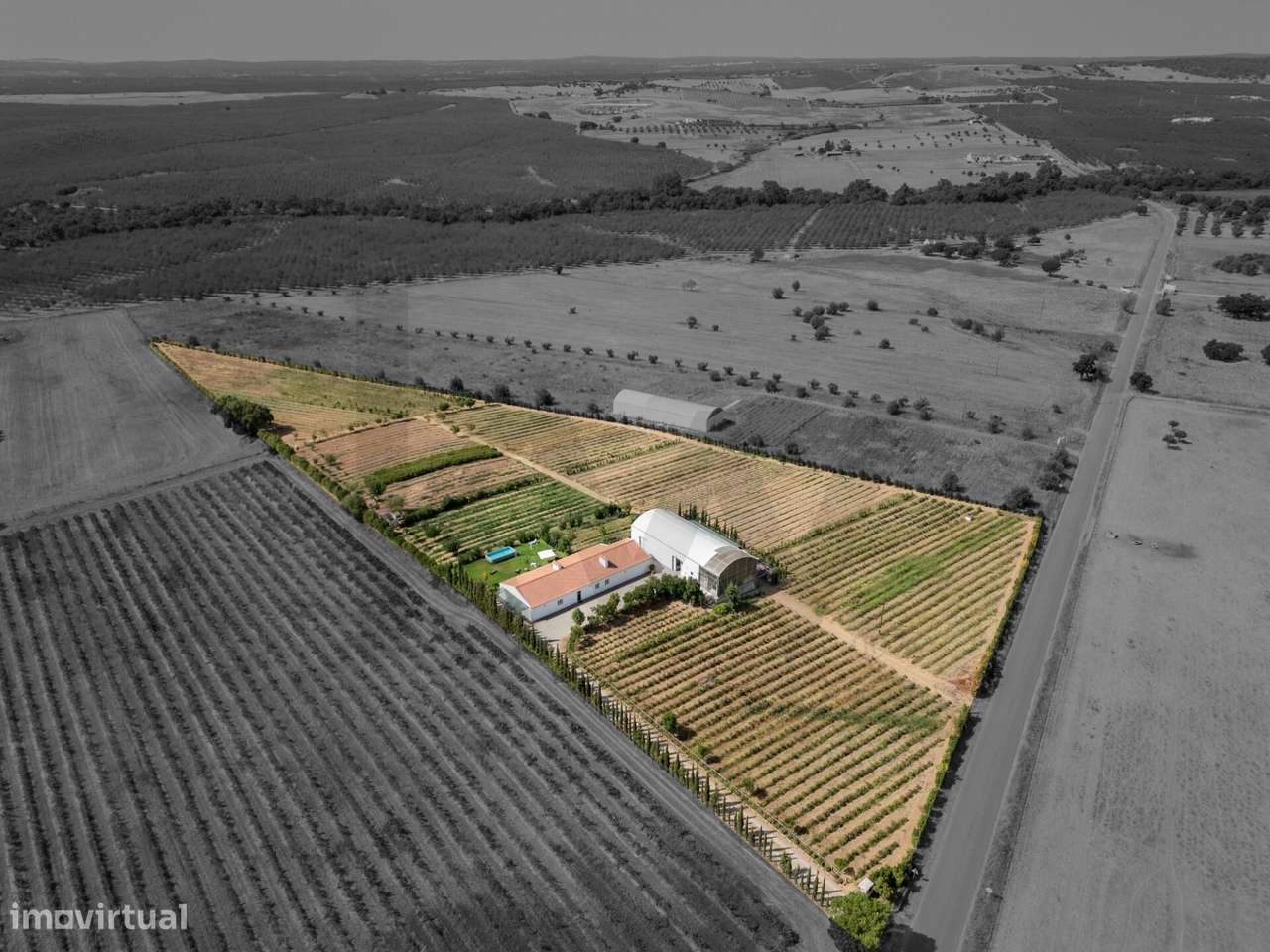 Quinta Biológica com Moradia em AL e Dois Armazéns – São Manços, Alent - Grande imagem: 4/51