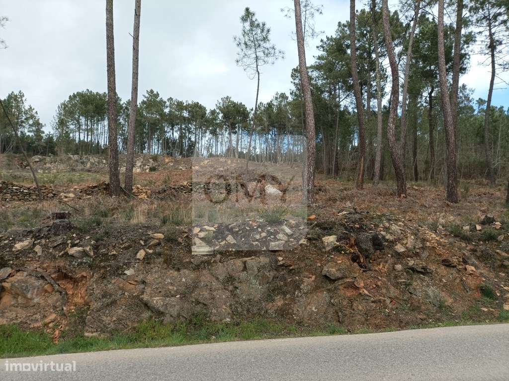Terreno Junto à N322 na Freguesia de Constantim e Vale de Nogueiras - Grande imagem: 3/5