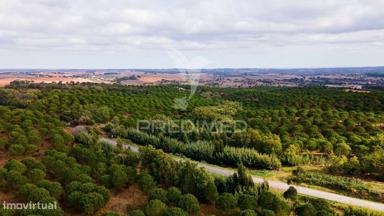 Herdades em São Luís - Grande imagem: 4/17