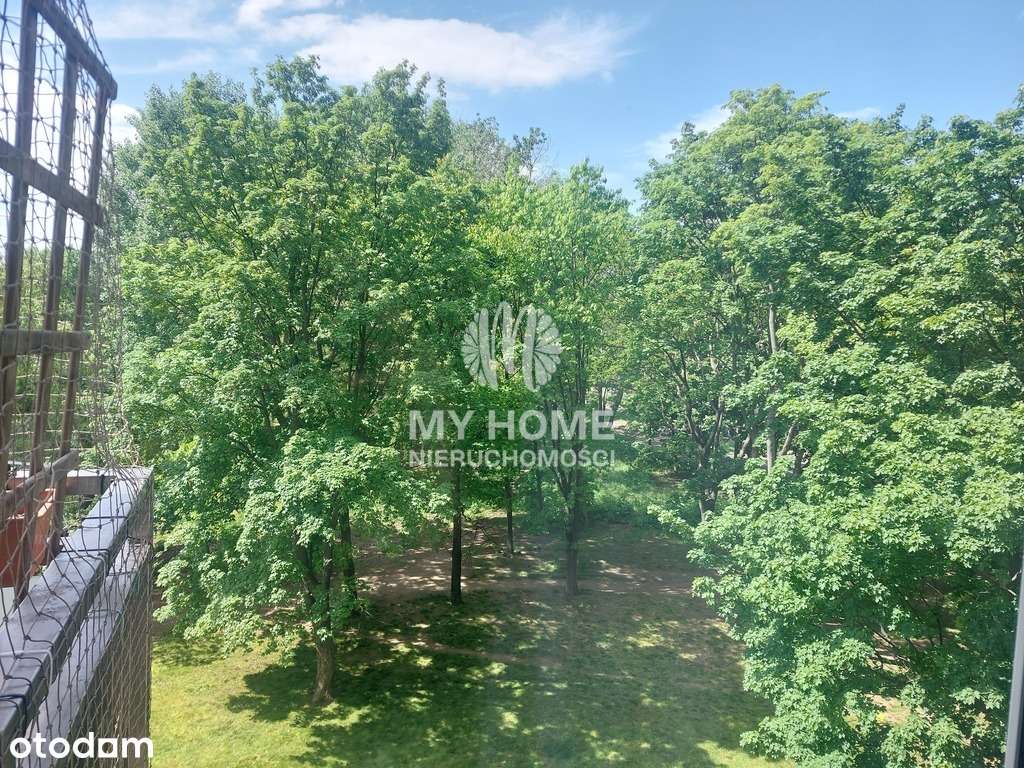 38m2 na zielonej Sadybie!-4