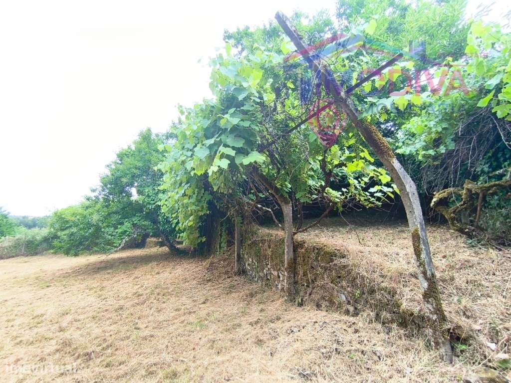 Moradia com terreno em Castanheira de Pera-23