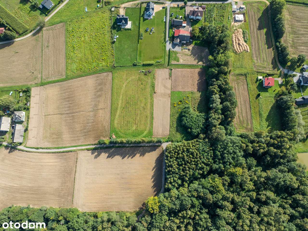 Działka budowlana z prywatnym lasem | Nidek-11