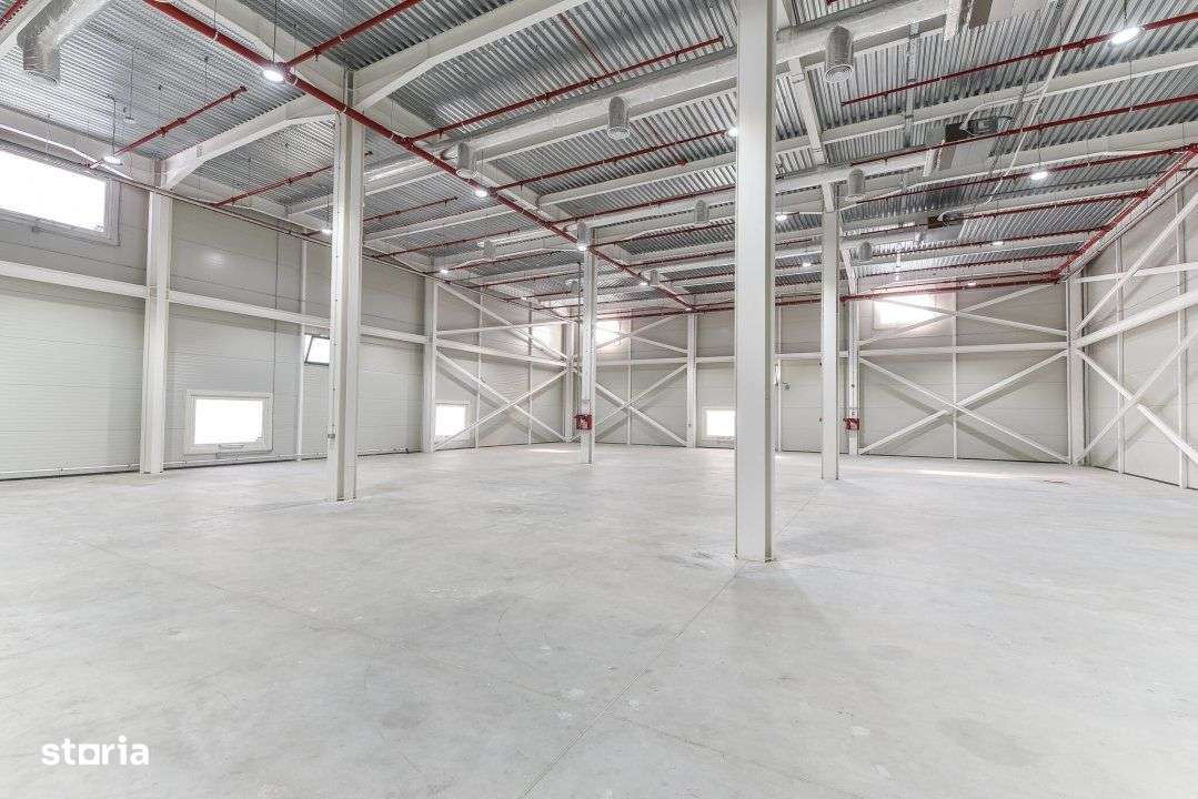 Inchiriere depozit nou | OTOPENI | DN1 - Imagine principală: 4/4