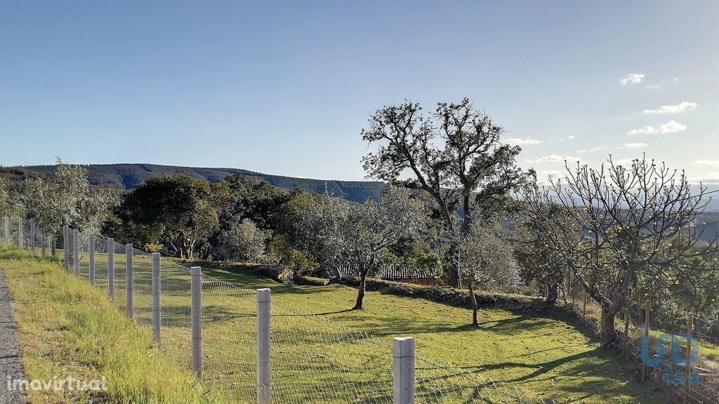 Terreno em Castelo Branco de 50,00 m2