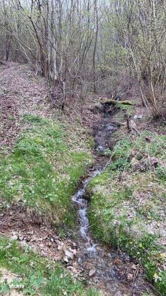 Oportunitate Teren extravilan 4000mp , Zona Baisoara - Imagine principală: 2/5