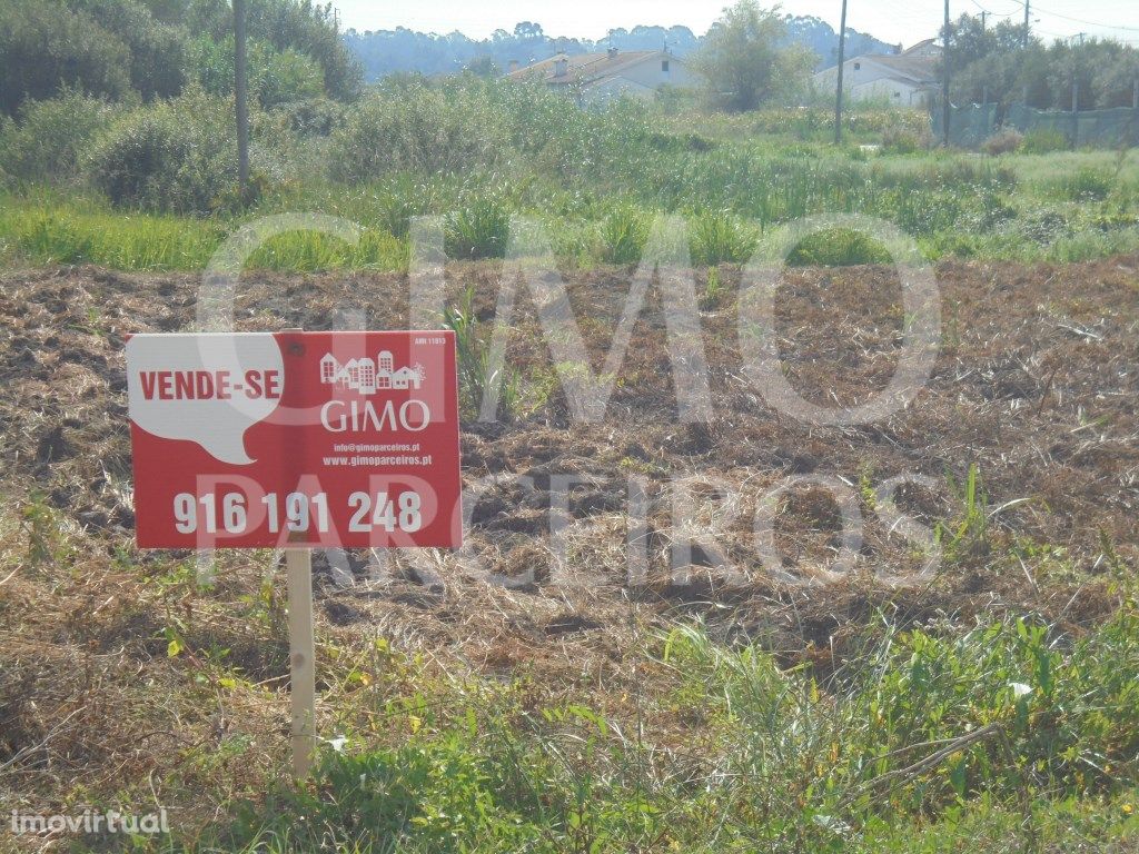 Terreno Arredores Oliveira do Bairro