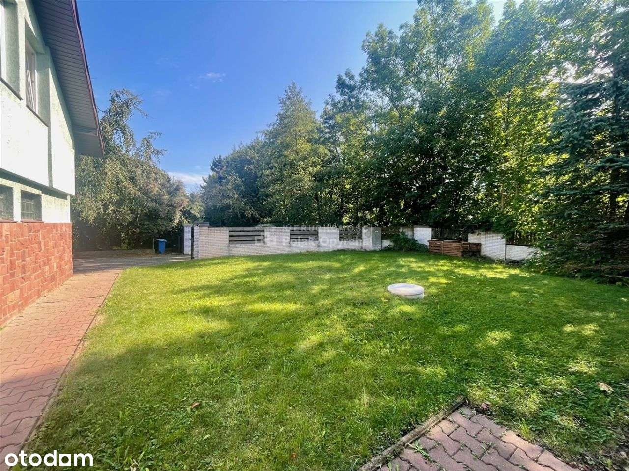 Zaciszna lokalizacja w Cygańskim Lesie-2