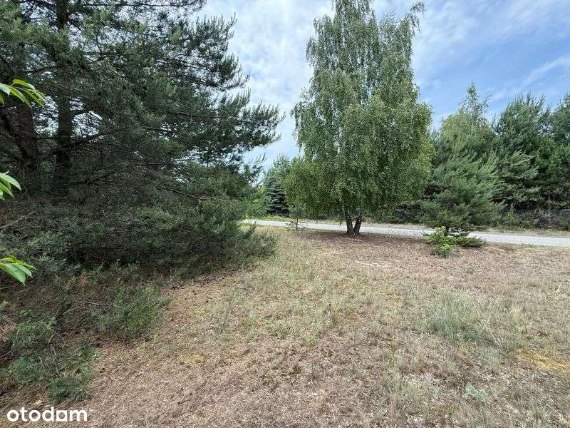 Działka w leśnej okolicy blisko jezioro Zdworskie! - Pełny obrazek: 5/8