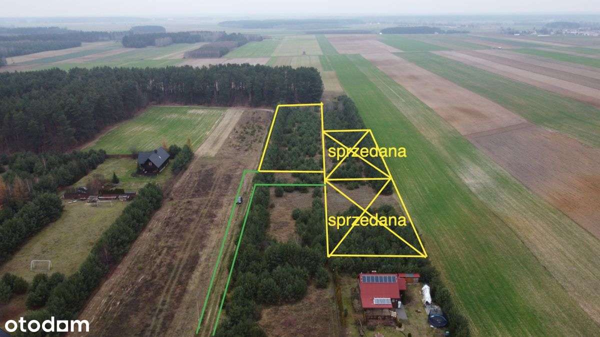 Działka budowlana z lasem - Pełny obrazek: 4/20