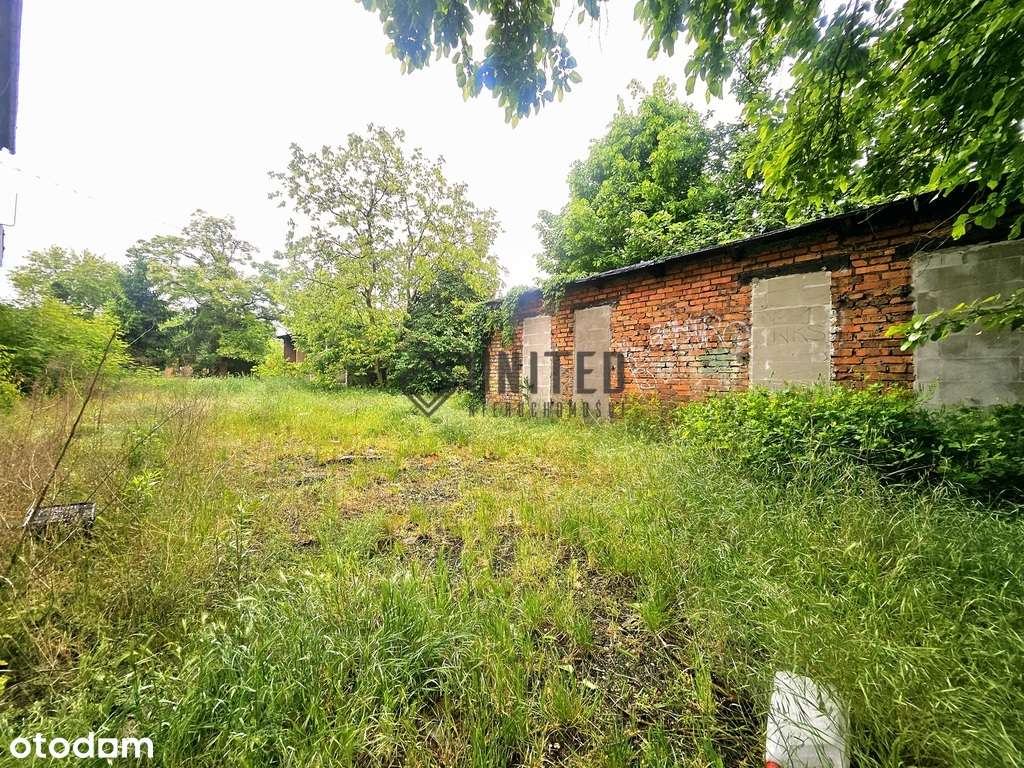 Okolice ul. Okulickiego / Inwestycja /Ogród - Pełny obrazek: 5/14