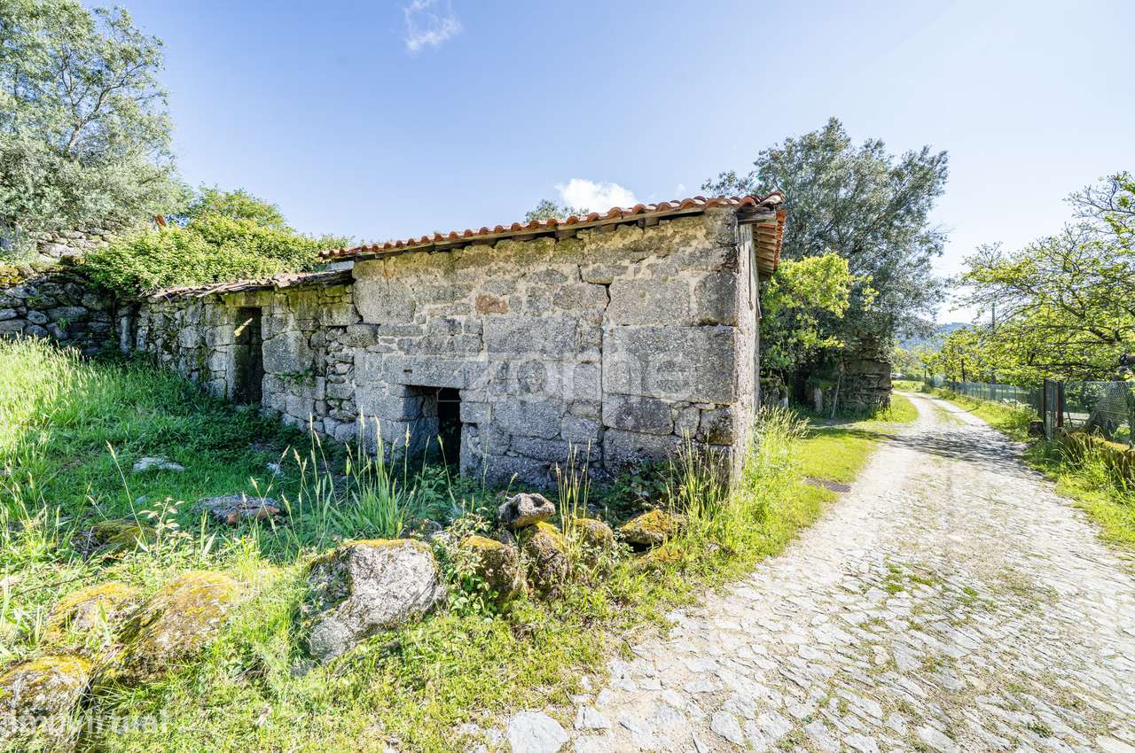 Casa para restauro e terrenos em Bouro (Santa Marta), Amares - Grande imagem: 5/55