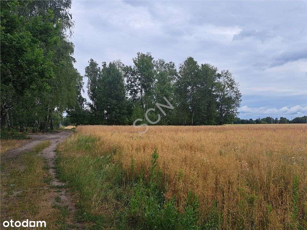 Działka w Boryszewie pod dom jednorodzinny. - Pełny obrazek: 4/4
