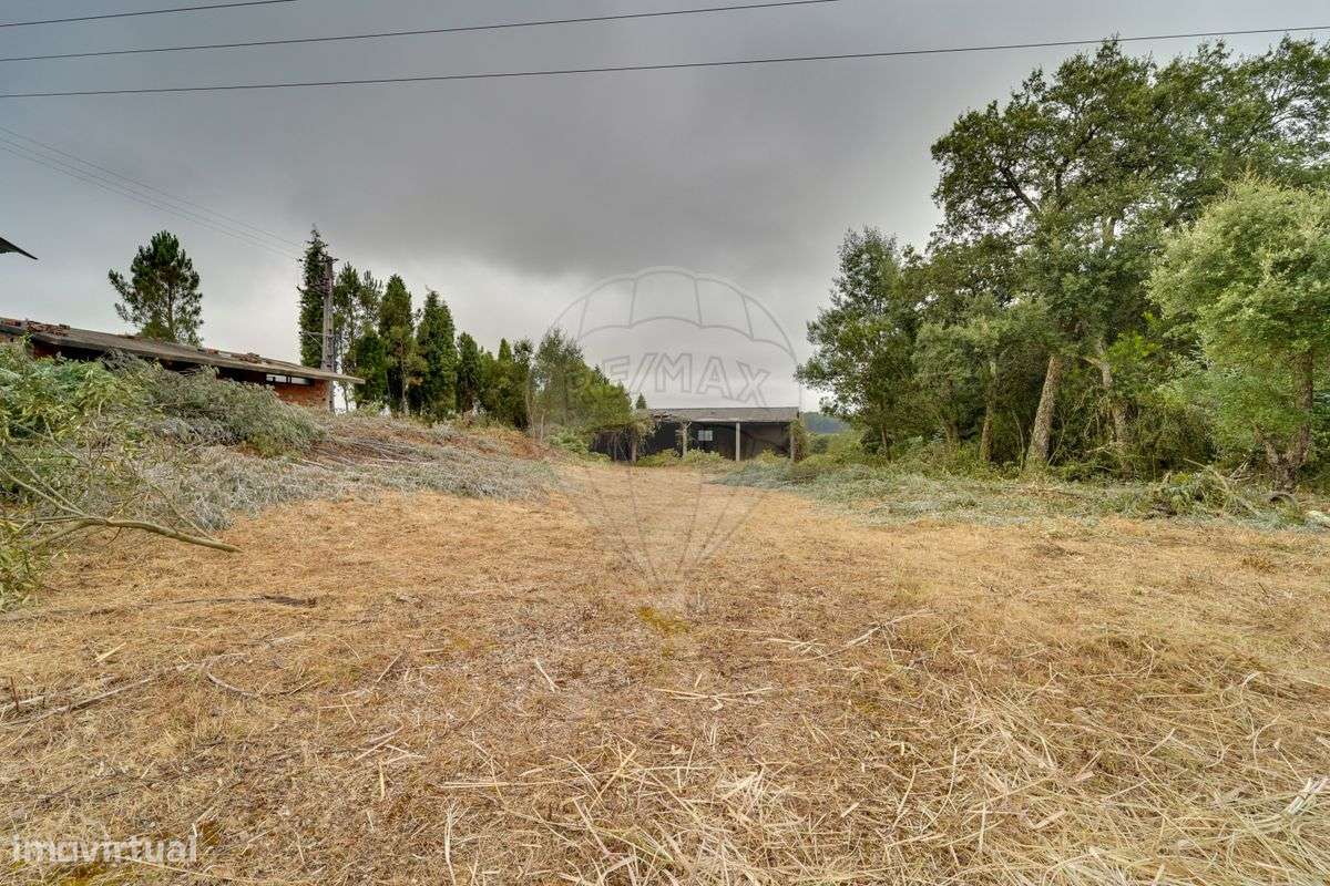 Armazém  para venda - Grande imagem: 2/6