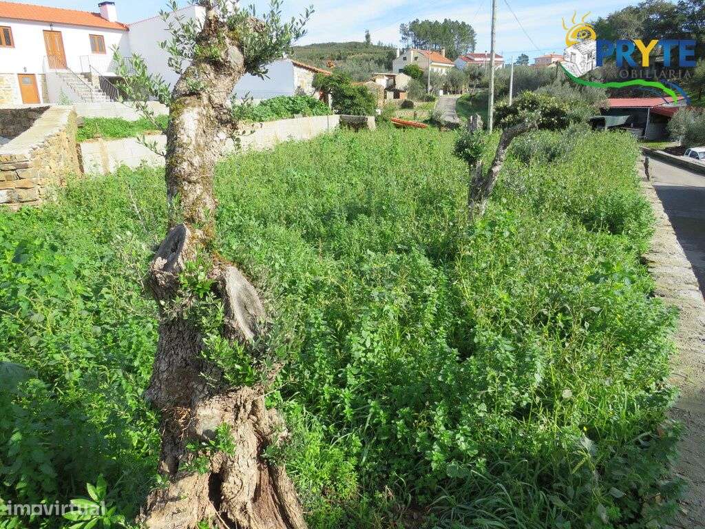 Terreno para construção situado numa aldeia calma perto da Sertã - Grande imagem: 4/10