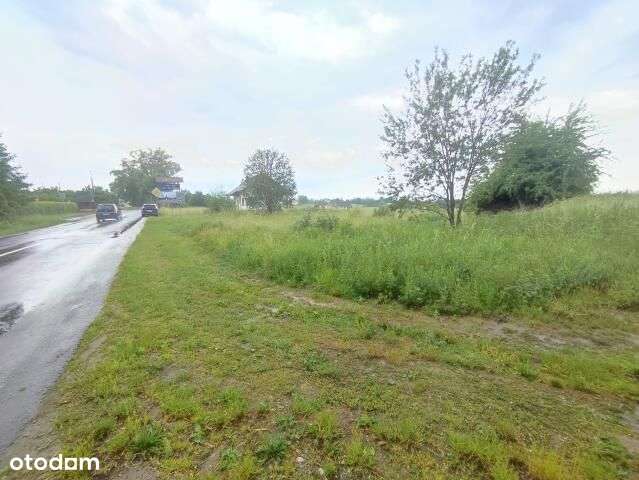 Działka budowlano inwestycyjna - Pełny obrazek: 5/15