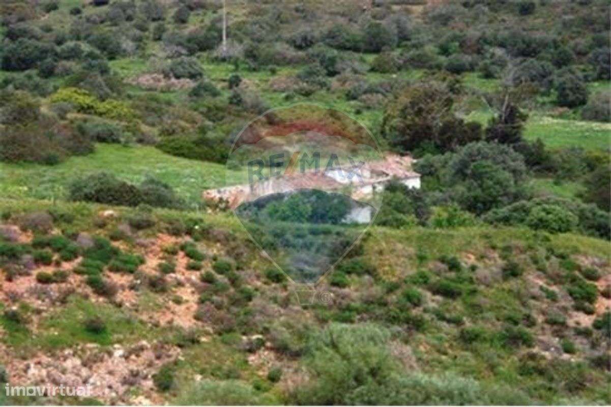 Terreno  para venda - Grande imagem: 5/5