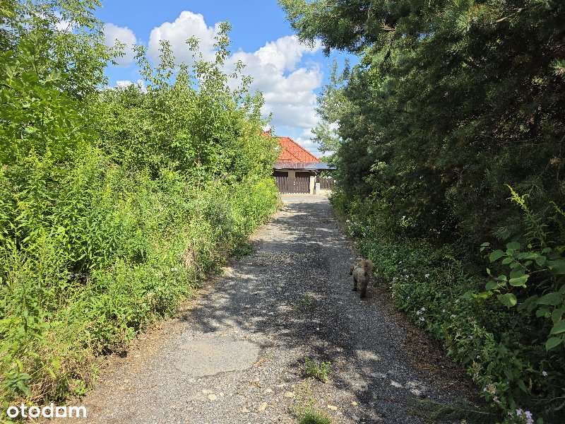 Działki budowlane Parkitka z decyzją o warunkach zabudowy-7