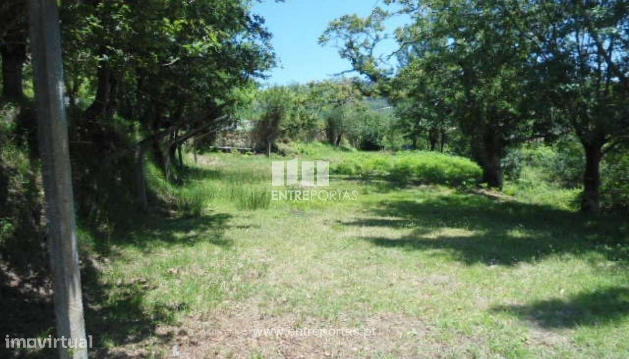 Venda Quintinha com Casa de Campo, Sande, Marco de Canaveses - Grande imagem: 4/45