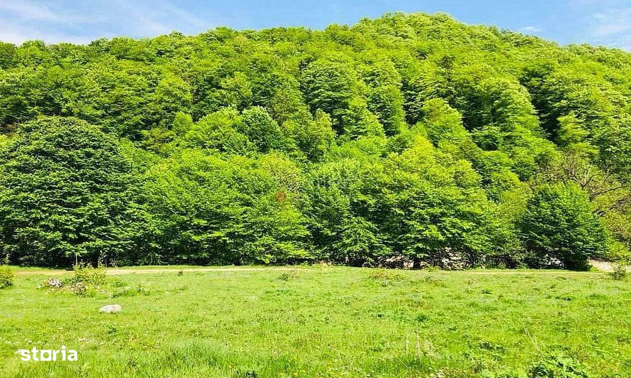 TEREN POTENTIAL TURISTIC - Rasnov - Cheisoara - Imagine principală: 4/6