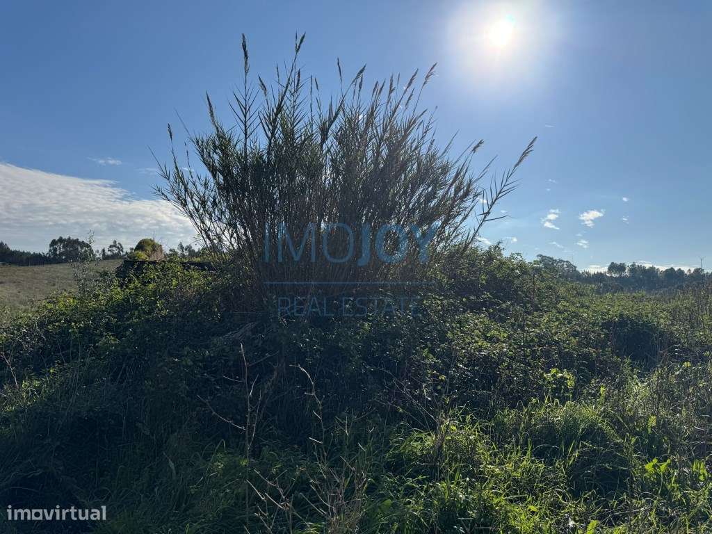 Magnífico Terreno Rústico com Ruína - Grande imagem: 2/30