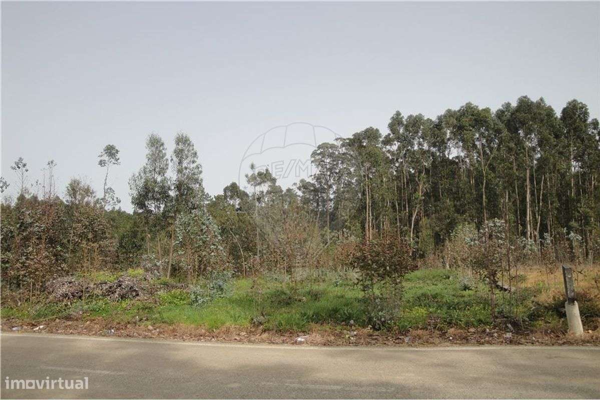 Terreno  para venda - Grande imagem: 3/3