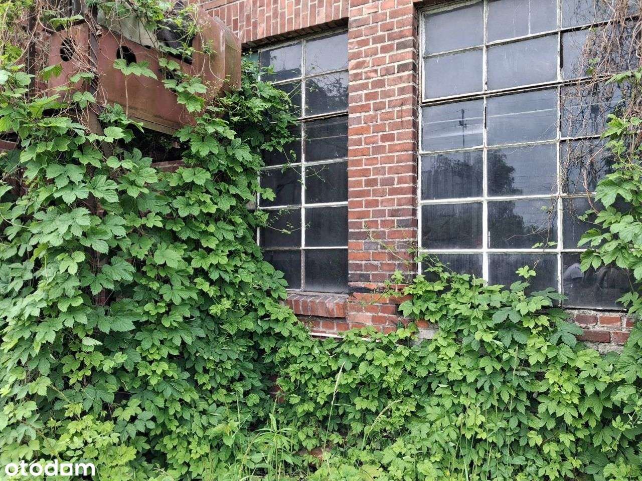 Hala / hale magazynowa produkcyjna usługi 1135m2 - Pełny obrazek: 2/19