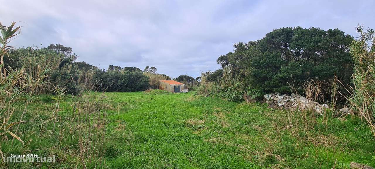 Terreno Rústico em Ribeira Grande com Jardim e Árvores Antigas-10