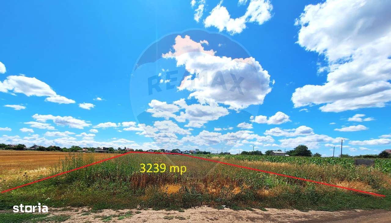 Teren Focsanei / DN sat Focsanei Vadu Pasii - Imagine principală: 2/8