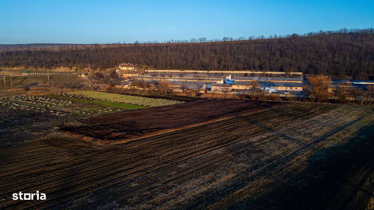 Fosta Ferma a Partidului de la Horgesti - de vanzare-8