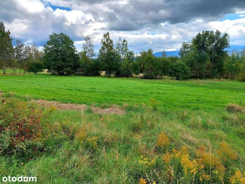 Rewelacyjna działka inwestycyjna - nowa cena! - Pełny obrazek: 5/10