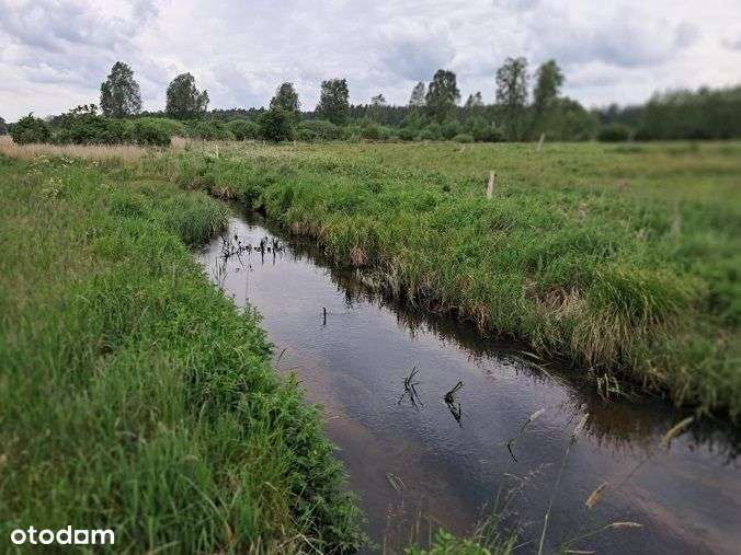 Działka, 10 400 m², Dąg-7