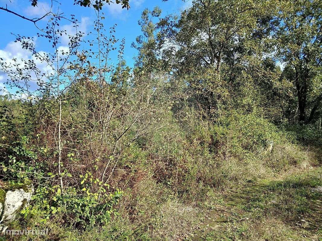 Terreno  para venda - Grande imagem: 3/8