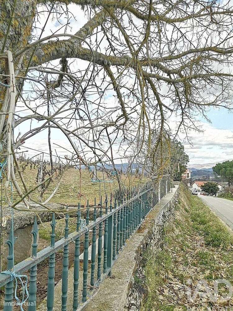 Terreno para construção em Ervededo de 9600,00 m2 - Grande imagem: 2/10