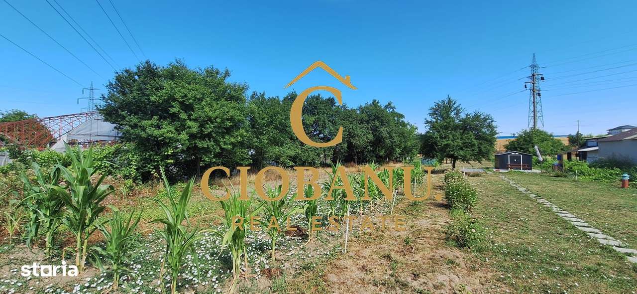 Teren intravilan de vanzare in Isalnita-9