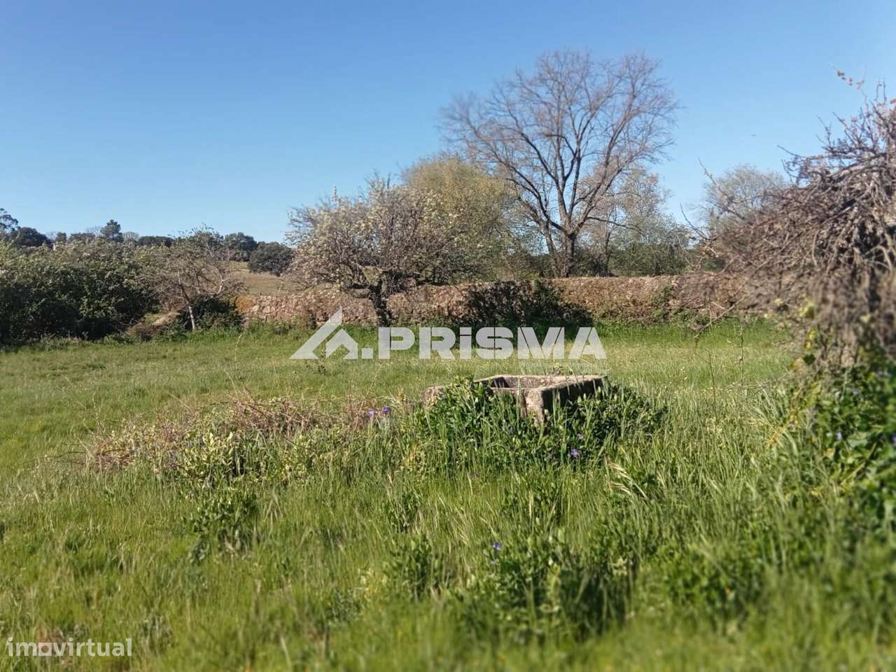 Quintinha para venda em Tinalhas, Castelo Branco-5